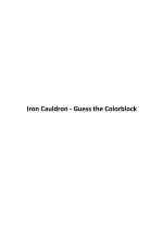 Iron Cauldron - Guess the Colorblock