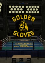 Golden Gloves VR